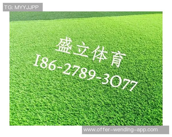 足球场灌溉技术的创新与应用探讨促进草坪生长与比赛质量提升 足球场灌溉技术的创新与应用探讨促进草坪生长与比赛质量提升